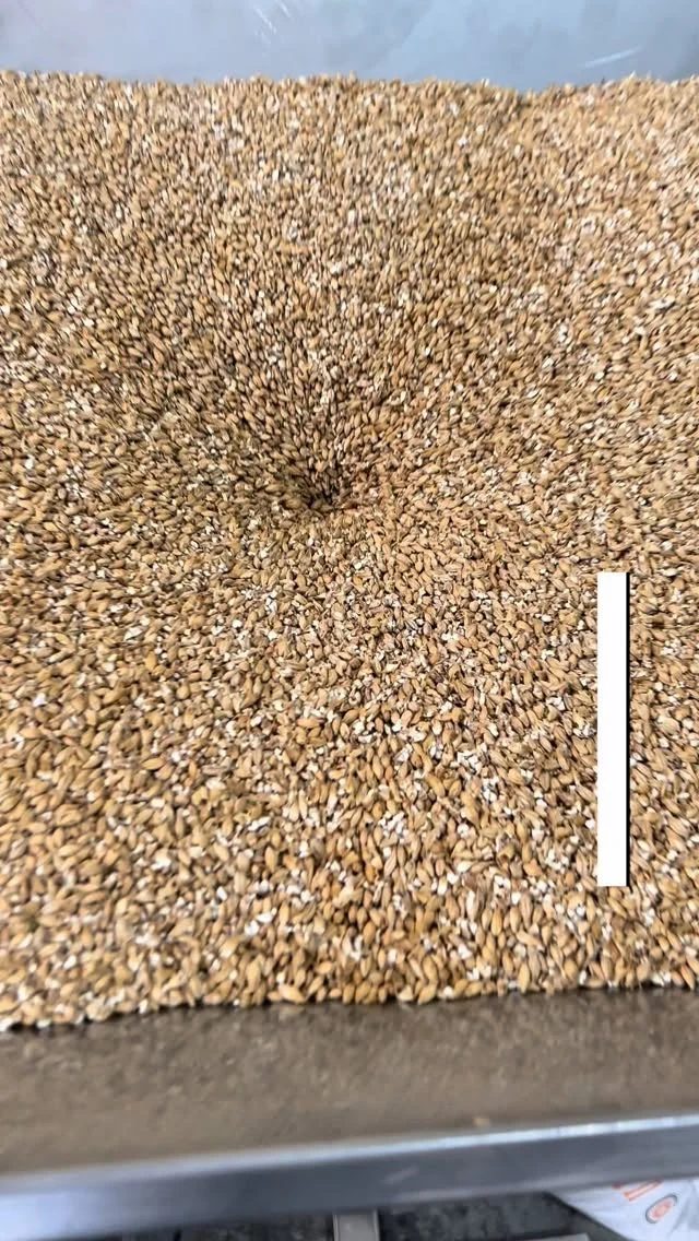 NUNCA MAIS SOFRA COM O MOINHO TRAVANDOO Moinho StarkBauen com capacidade de 200 kg por hora foi desenvolvido para garantir moagem uniforme, preservando a integridade do malte e otimizando o rendimento da brassagem.Com estrutura robusta, regulagem precisa e construção em materiais de alta durabilidade, oferece desempenho constante mesmo em rotinas produtivas mais intensas.🔩 Moagem padronizada
⚙️ Regulagem eficiente de abertura
📈 Melhor aproveitamento do malte
🔥 Maior eficiência na extraçãoUma boa cerveja começa na moagem.
E controle no início do processo significa resultado consistente no final👉 Moinho 200Kg/h StarkBauen
Base sólida para produções que levam qualidade a sério